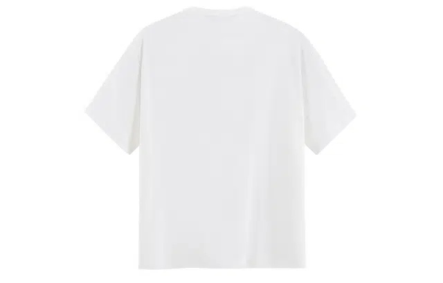 ICONS Lab ICS T