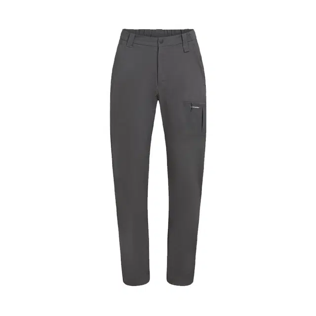 icebreaker Stretch Pants