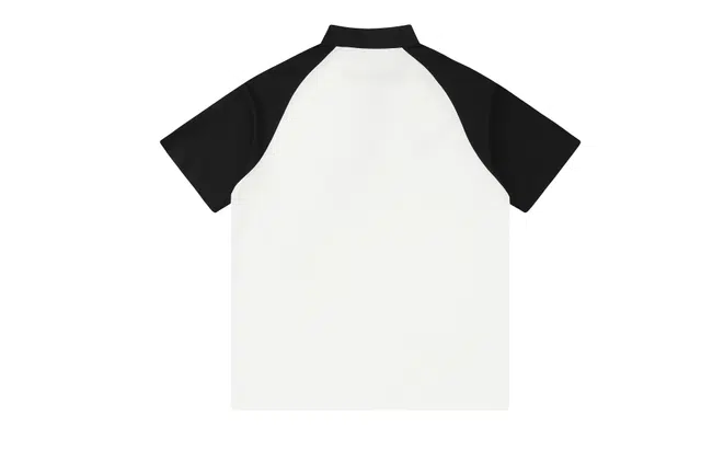 Kawasaki T