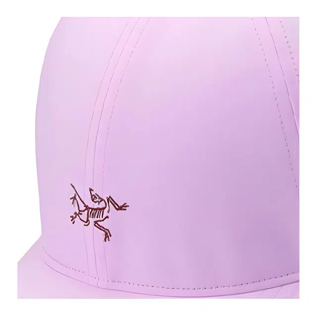 Arcteryx Logo