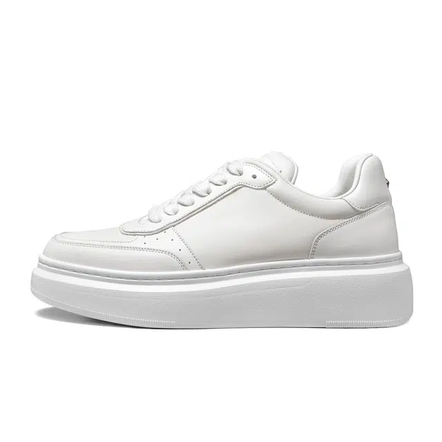 THOM WILLS trainer