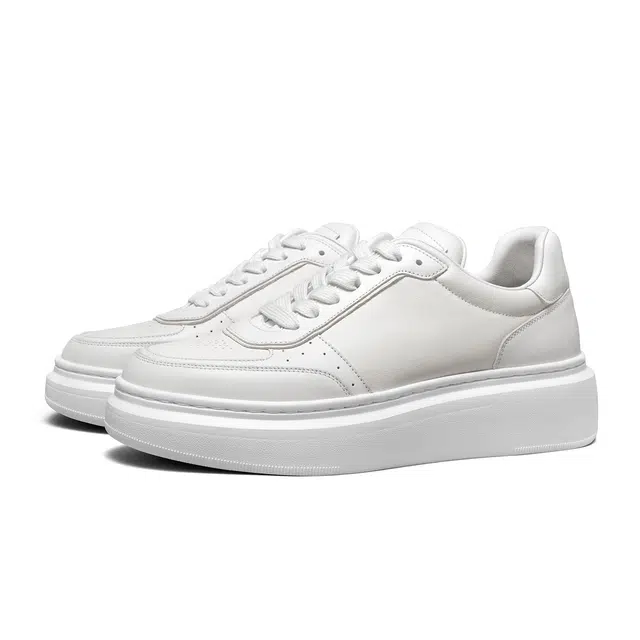 THOM WILLS trainer