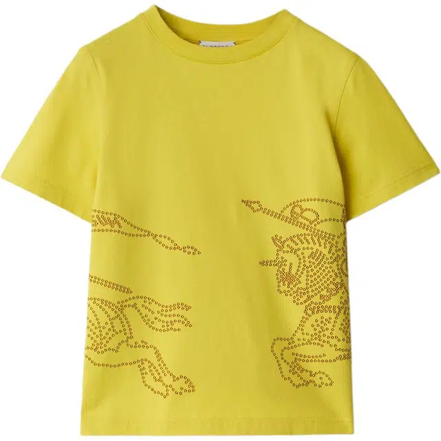 Burberry SS24 LogoT