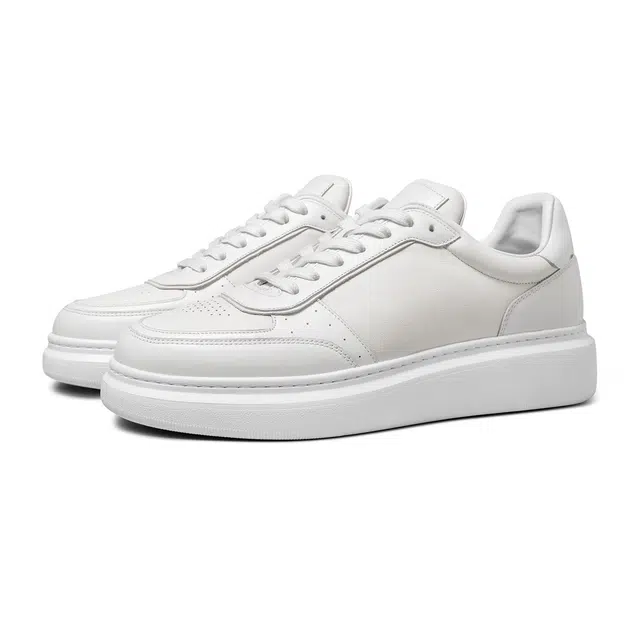 THOM WILLS trainer