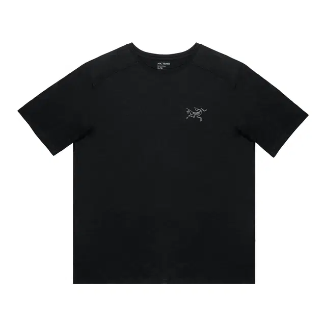 Arcteryx Extraordinary logoT