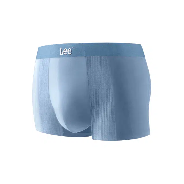 Lee 1
