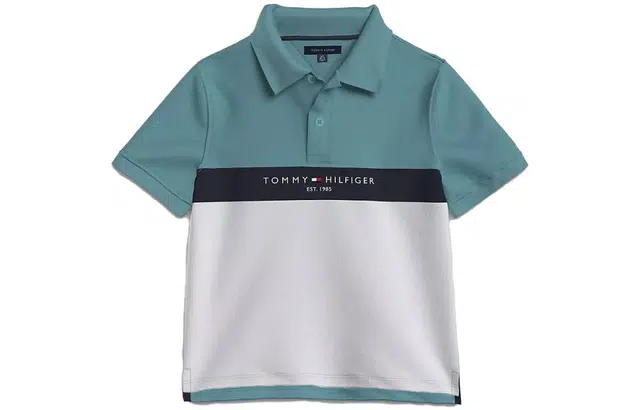 Tommy Hilfiger Logo Colorblock Polo Polo