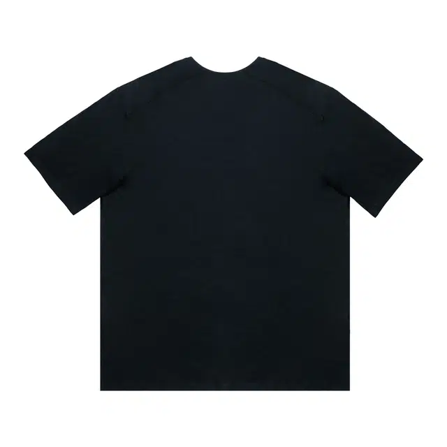 Arcteryx Extraordinary logoT