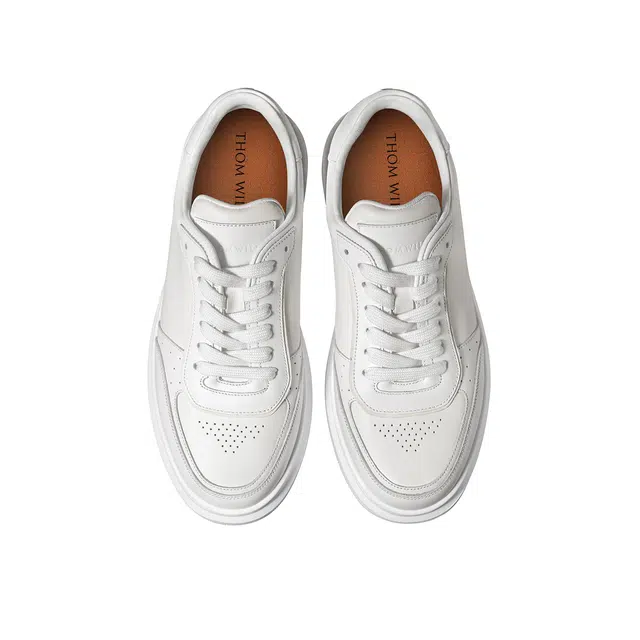 THOM WILLS trainer