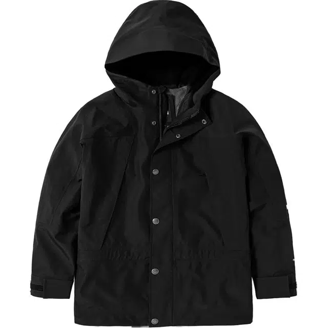 THE NORTH FACE 1994 Mountain JKT Logo