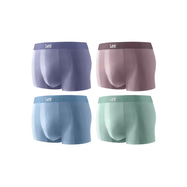 Lee 4
