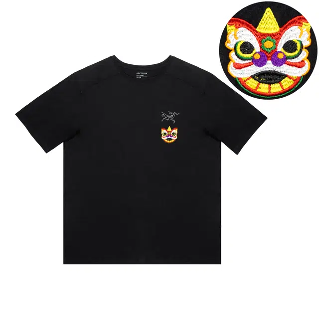 Arcteryx Extraordinary LogoT