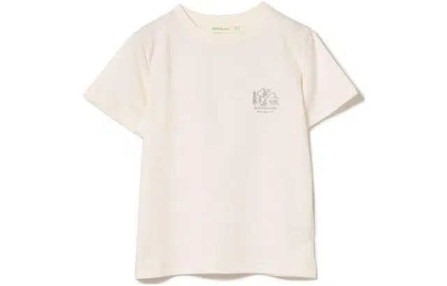 beams T