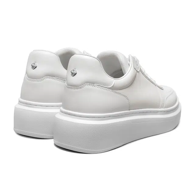 THOM WILLS trainer