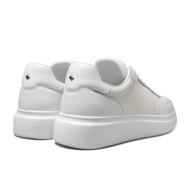THOM WILLS trainer