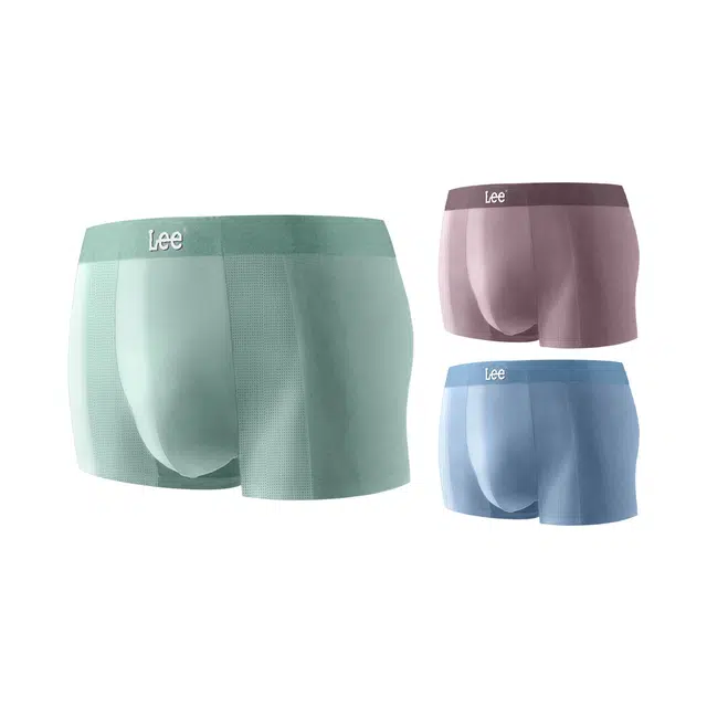 Lee 3