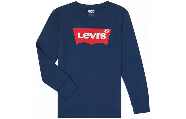 levis Teenager Batwing Tee T