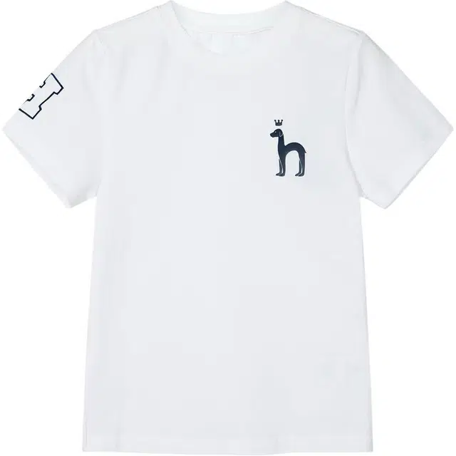 HAZZYS T