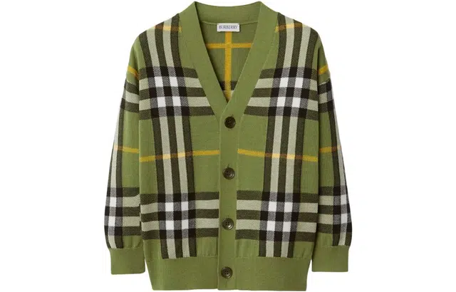 Burberry FW23 V