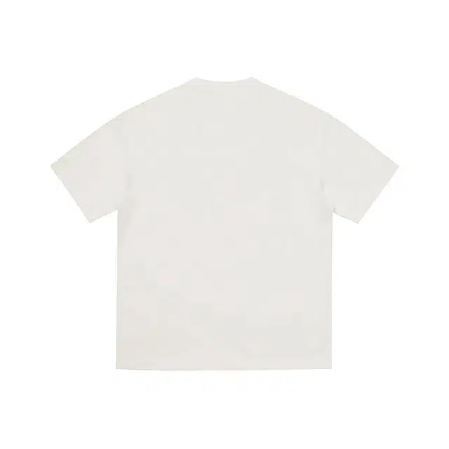 PAINT STAIN T