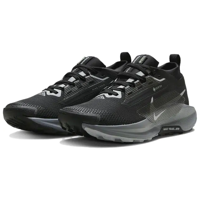 Nike Pegasus Trail 5