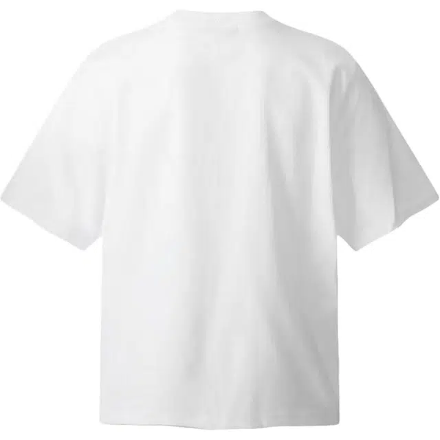 PAINT STAIN T