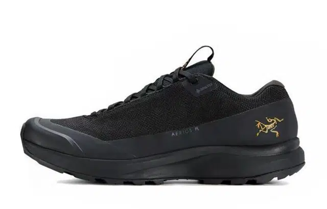 Arcteryx Aerios Fl 2 GTX 811