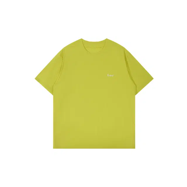NBCT T