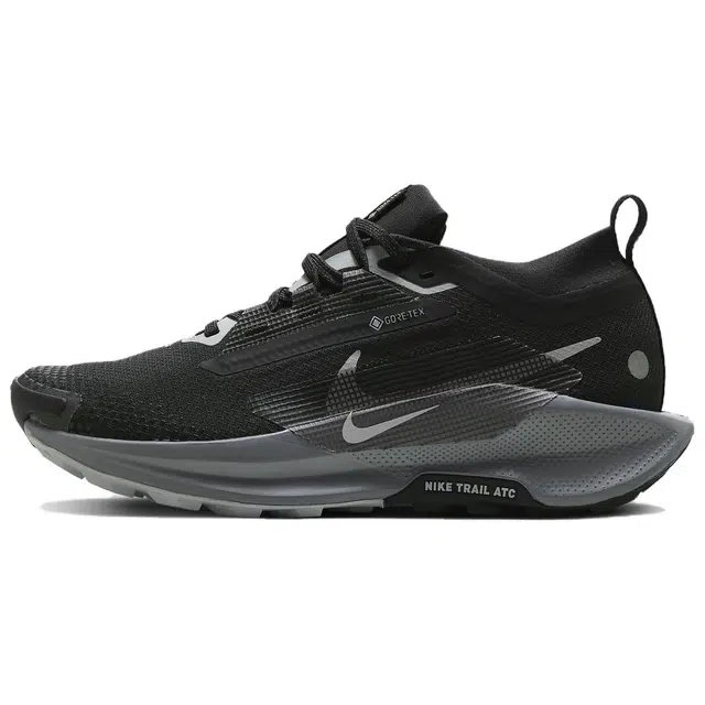 Nike Pegasus Trail 5