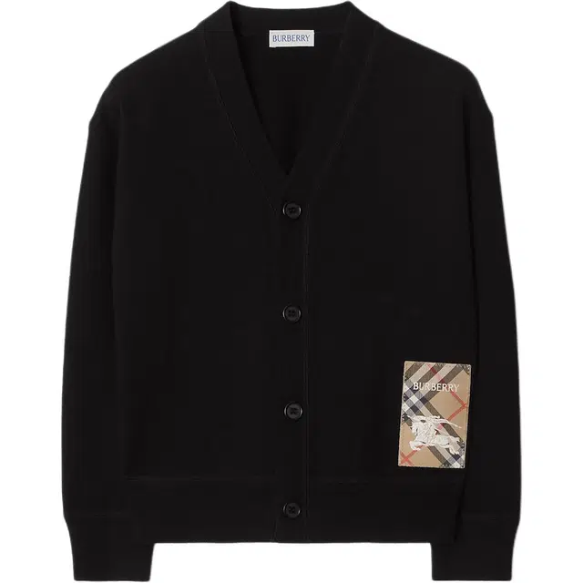 BurberryFW24 LogoV