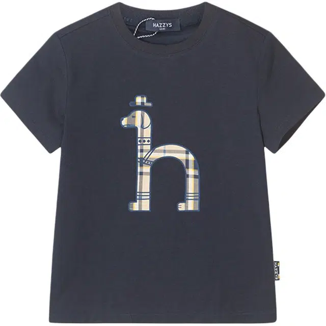HAZZYS T