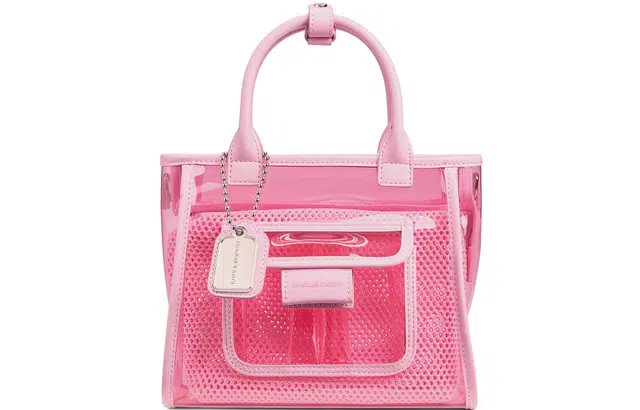 Charles & Keith Transparent Shoulder Bag
