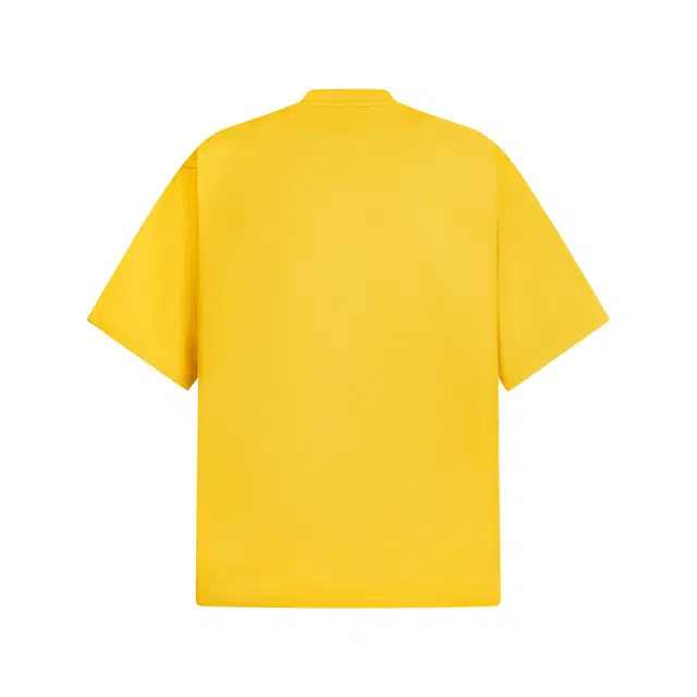 PAINT STAIN T
