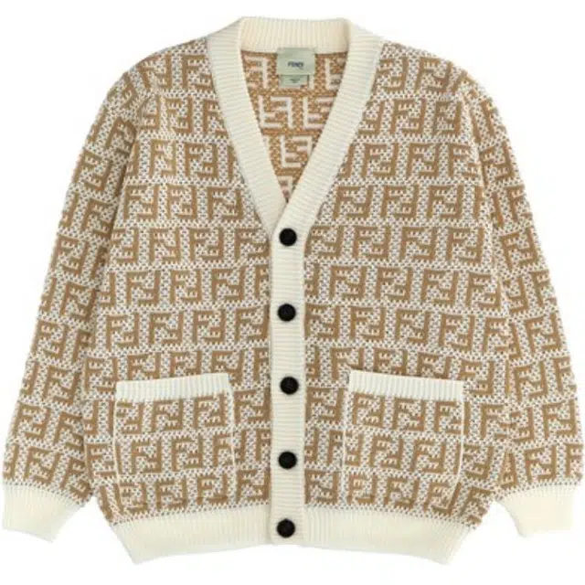 FENDI V