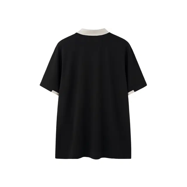 FireMonkey T