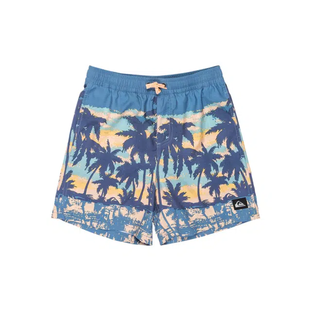 Quiksilver Everyday