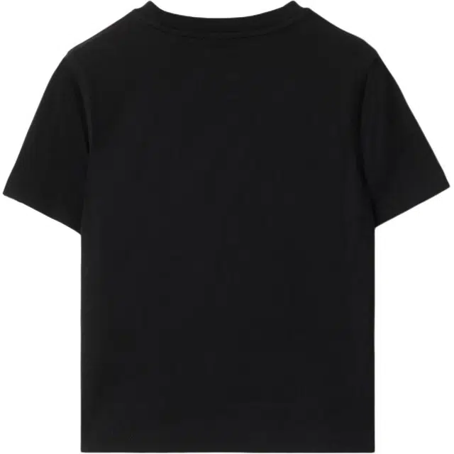 BurberryT