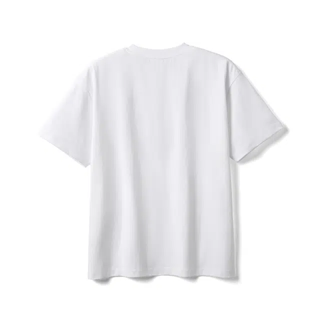 SIMWOOD T