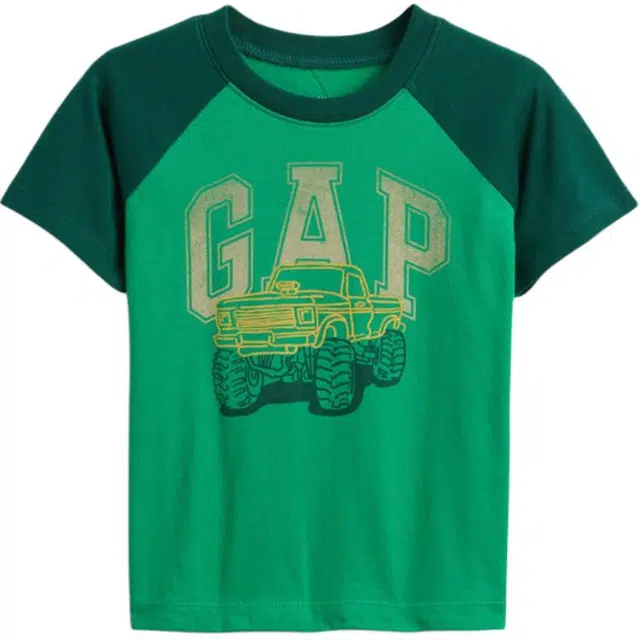 GAPTlogo