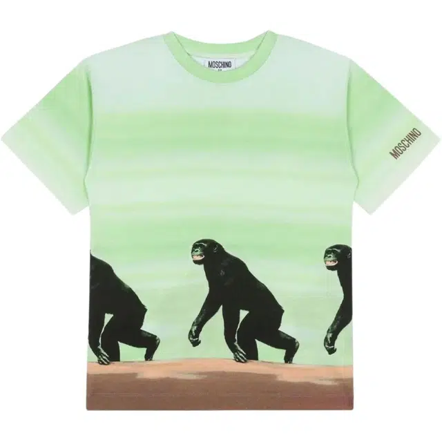 MOSCHINOT