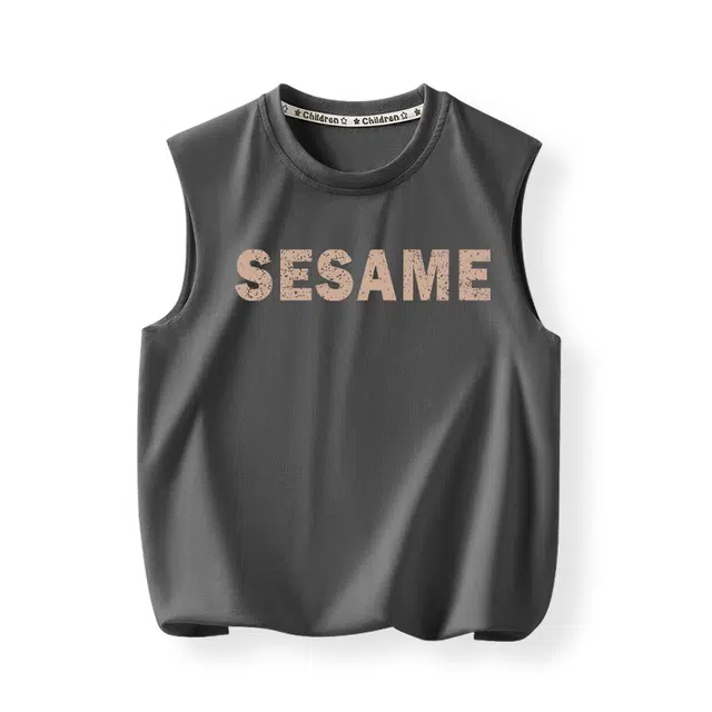 SESAME STREETT