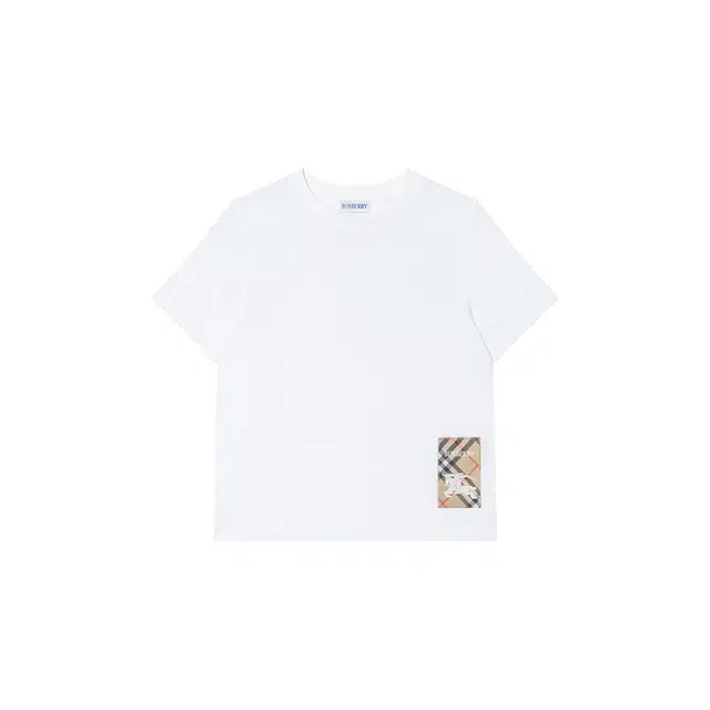 Burberry FW24 T