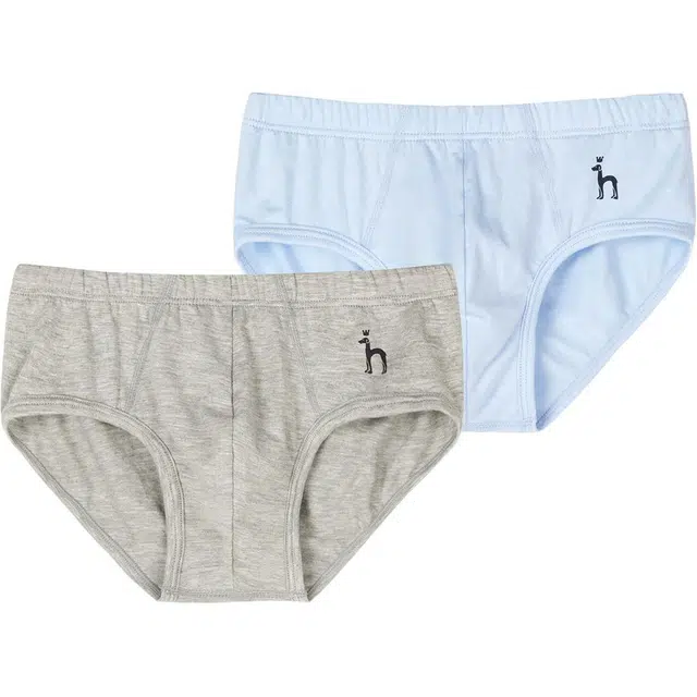 HAZZYS 2