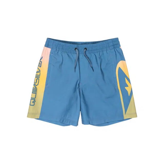 Quiksilver Everyday Holmes