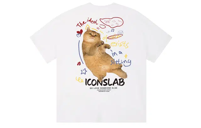 ICONS Lab T