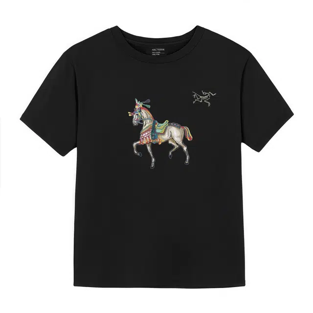 Arcteryx KRAGG logoT black