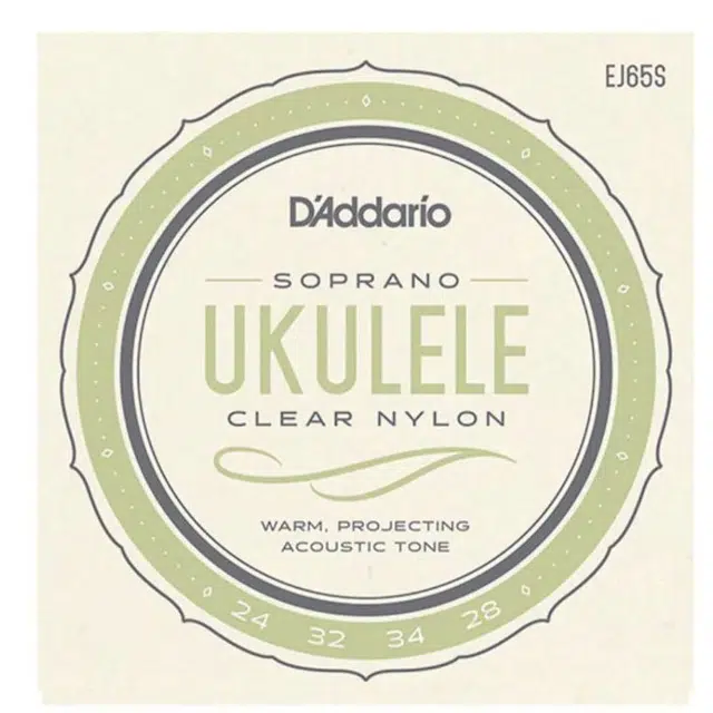 D'Addario EJ65