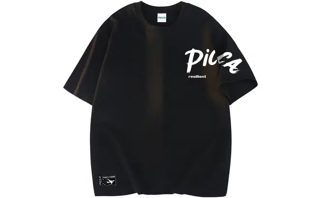 Picca logoT