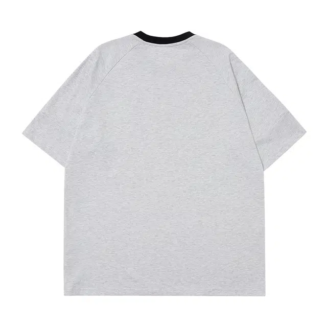 SNOW FLYING T