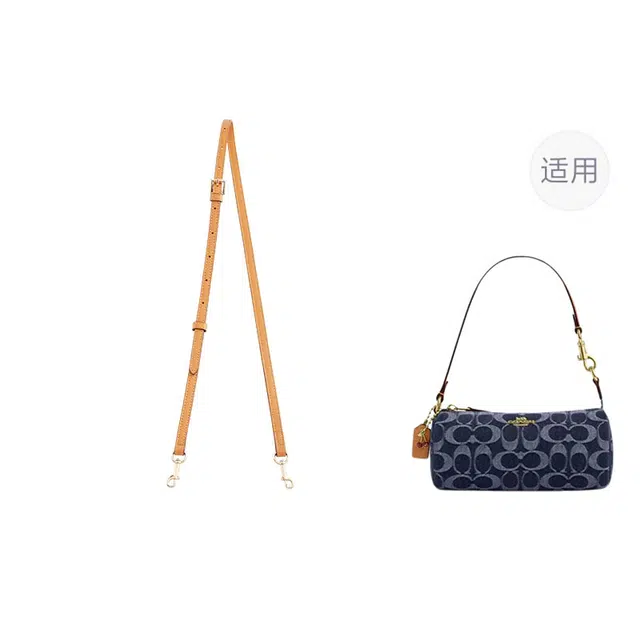 jingxi coach nolita20
